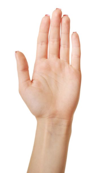Female hand isolated on white - Fotoğraf, Görsel