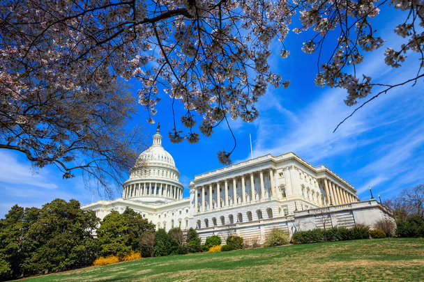 Nas Kapitol - Washington Dc, Stany Zjednoczone Ameryki - Zdjęcie, obraz
