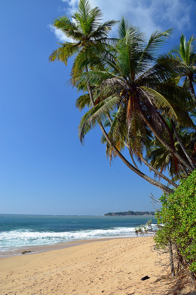 tropical beach and blue sky by the sea vertical photo - Foto, immagini