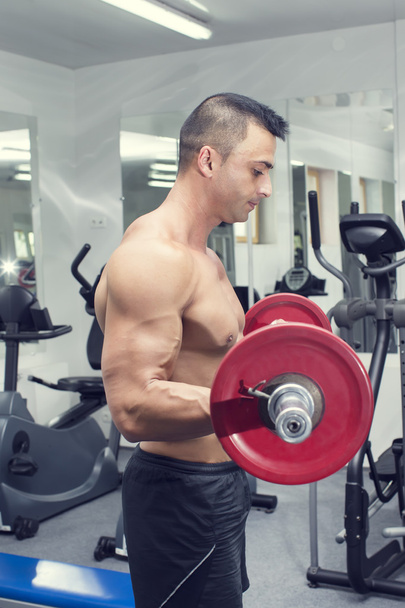 Man training in the gym - Foto, imagen