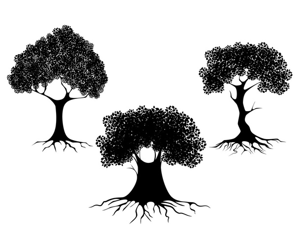 Tres siluetas de árboles
  - Vector, Imagen