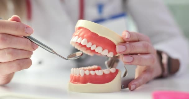 Οδοντίατρος εξετάζει τα δόντια και τα ούλα χρησιμοποιώντας οδοντικό καθρέφτη. Οδοντιατρικές υπηρεσίες - Πλάνα, βίντεο