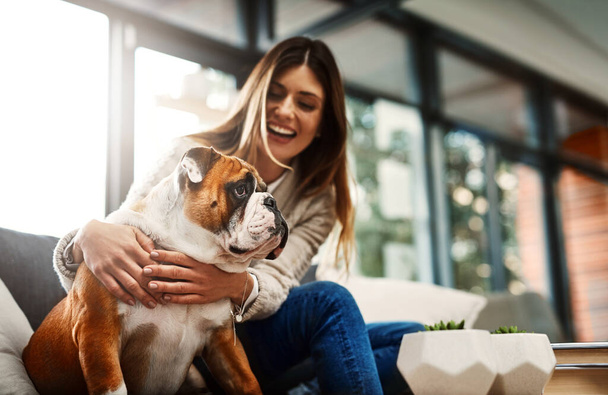 Nainen, koira ja halata sohvalla kotona onnellinen yhteys paras ystävä rentouttava, liimaus tai olohuoneessa. Nainen henkilö, bulldog ja eläin lemmikki emotionaalinen tuki rakastava, hoito tai nauraa. - Valokuva, kuva