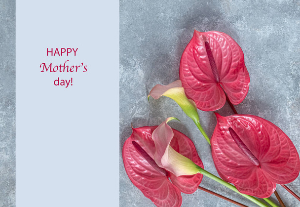 Boldog anyák napját. Trópusi flamingó virágok rózsaszín anthuriumok és kála liliomok szürke alapon. Lapos fekvésű, felülnézet.  - Fotó, kép