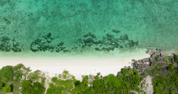 Uitzicht vanuit de lucht op een prachtig zandstrand met palmbomen en een rustige zee. Bantayan eiland, Filipijnen. - Video