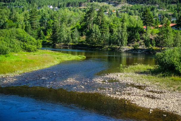 Норвегія краєвид з зеленим лісом і річкою в долині - Фото, зображення