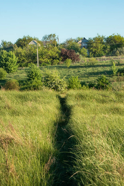 Μονοπάτι σε ένα λιβάδι με πράσινο γρασίδι στην ύπαιθρο. Αγροτικό τοπίο σε μια ηλιόλουστη ανοιξιάτικη ή καλοκαιρινή μέρα - Φωτογραφία, εικόνα