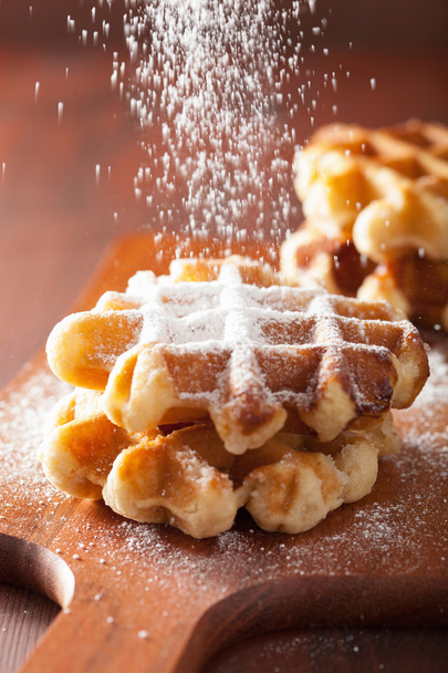 belgian waffles sprinkled with icing sugar - Photo, Image