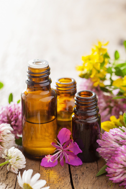 óleos essenciais e flores medicinais ervas
  - Foto, Imagem