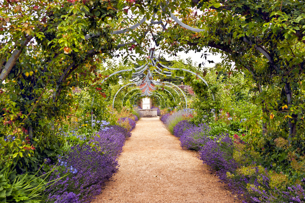 Πολύχρωμος αγγλικός καλοκαιρινός κήπος λουλουδιών με μονοπάτι κάτω από την αψίδα - Φωτογραφία, εικόνα