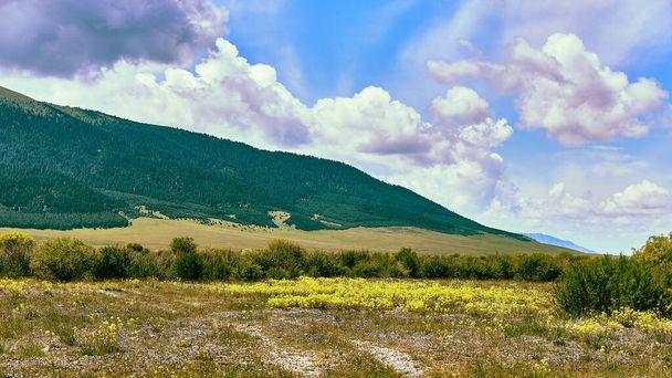 панорамный вид на горы, покрытые хвойными лесами и кучевыми облаками над ними. Долина реки Шалкодесу в Казахстане - Фото, изображение