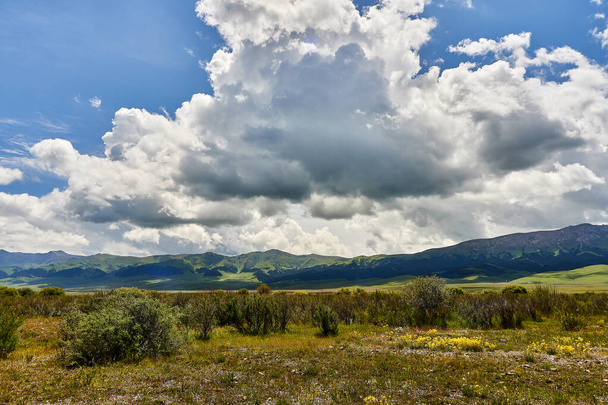 Blick auf die mit Nadelwald und Kumuluswolken bedeckten Berge. das Tal des Flusses Shalkodesu in Kasachstan - Foto, Bild