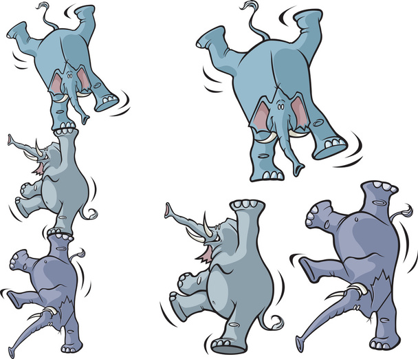 Elefantes acrobáticos
 - Vector, Imagen