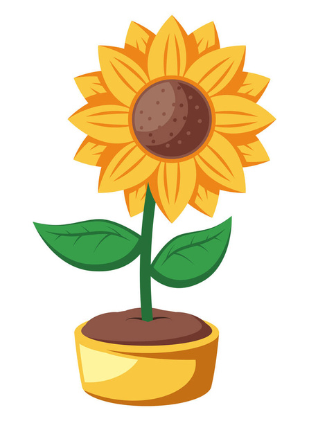 festa junina sunflower illustration design - Vector, Image