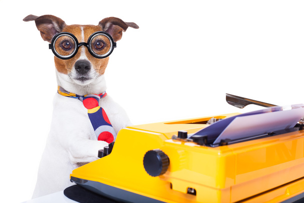 secretary typewriter  dog     - Foto, imagen