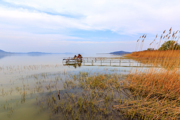 Wooden pier in tranquil lake Balaton - Photo, Image