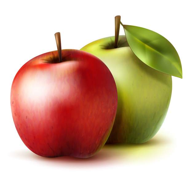 Два реалистичных яблока
 - Вектор,изображение