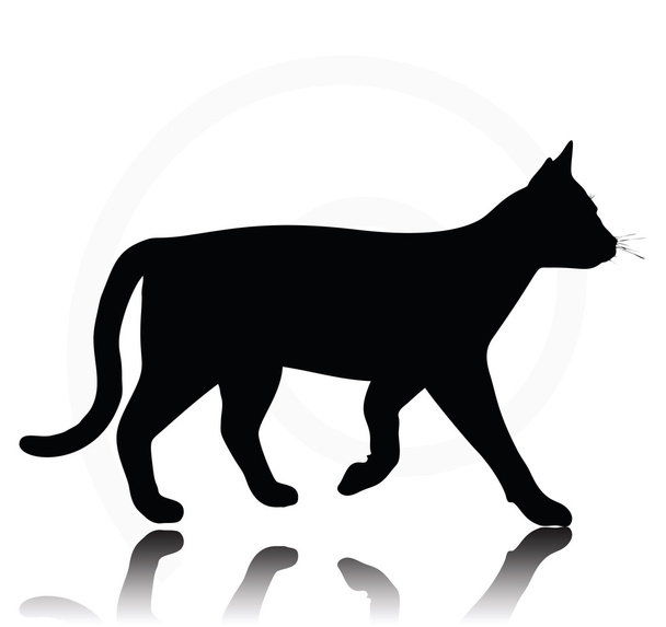 cat silhouette - Vector, Image