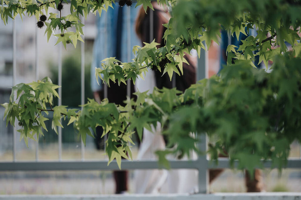 Enfocada en frondosas hojas verdes, esta imagen captura figuras borrosas de personas caminando detrás de una barandilla de la ciudad, ofreciendo una sensación de anonimato y vida urbana.. - Foto, imagen