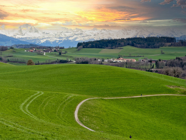 Splendido tramonto su un lussureggiante paesaggio svizzero, caratterizzato da un percorso tortuoso attraverso vivaci campi verdi che conducono verso le maestose Alpi innevate, sotto un cielo drammatico dipinto con sfumature di arancione e blu - Foto, immagini