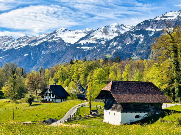 Идиллический сельский пейзаж в швейцарских Альпах, с традиционными домами, пышными зелеными лугами, усыпанными полевыми цветами, и величественными заснеженными горами под ясным голубым небом - Фото, изображение