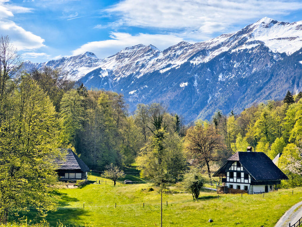 Ідилічний сільський пейзаж у Швейцарських Альпах, з традиційними будинками, пишними зеленими луками, заплямованими дикими квітами, і величними засніженими горами під ясним блакитним небом - Фото, зображення