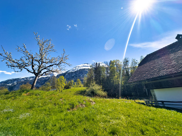 明るい青空の下に雪山を背景にした伝統的なスイスの木造家屋の風景 - 写真・画像