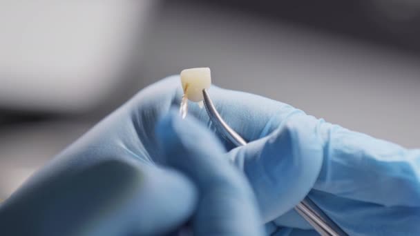 Οδοντίατρος Τεχνικός Χρώματα οδοντοστοιχία δόντι με πινέλο στο εργαστήριο Πλάνα. - Πλάνα, βίντεο
