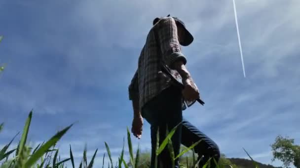 Vista inferiore dell'agricoltrice con tablet digitale che va e controlla il campo agricolo verde - Filmati, video