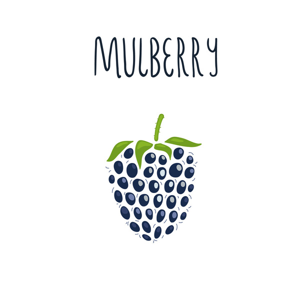 Vector hand drawn isolated mulberry with the inscription - Διάνυσμα, εικόνα