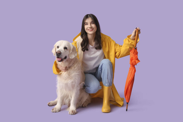 Young woman in raincoat with Labrador dog and umbrella on lilac background - Photo, Image