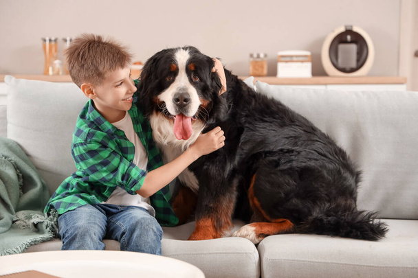 Cute puszysty pies i chłopiec siedzi na kanapie w salonie - Zdjęcie, obraz