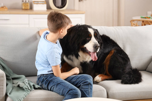 Cute fluffy dog and boy sitting on grey sofa in living room - Photo, Image