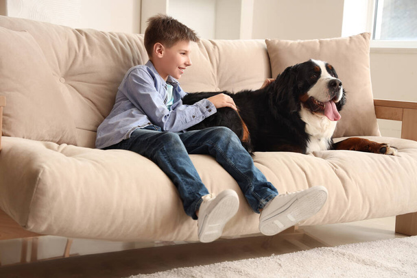 Carino morbido cane e ragazzo seduto su un comodo divano in soggiorno - Foto, immagini