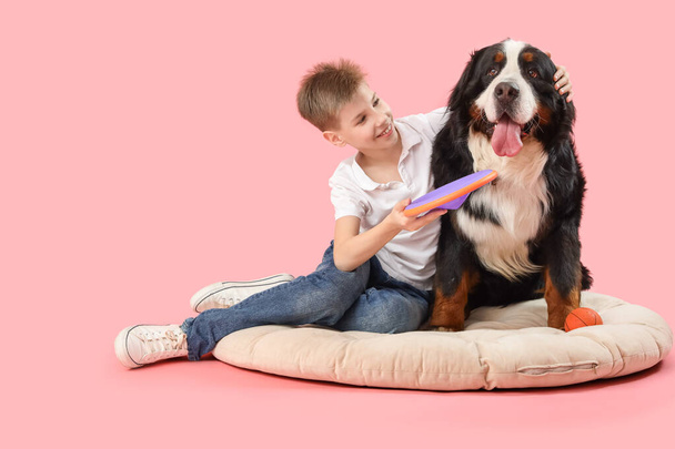 Cute fluffy dog and boy with frisbee sitting on pet bed against pink background - Photo, Image