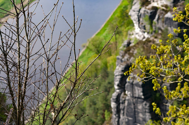 Bela vista de verão do rio Elba a partir de Bastei vista pont. Cena de manhã colorida do parque nacional da Suíça saxônica, Alemanha, Europa. Esplêndida paisagem das Montanhas de Arenito, Saxônia. - Foto, Imagem