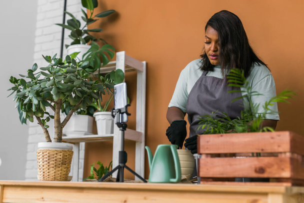 African American florist blogger filmare video tutorial sui trapianti di piante in giardino domestico. Crea video vlog con il concetto di telefono cellulare - Foto, immagini