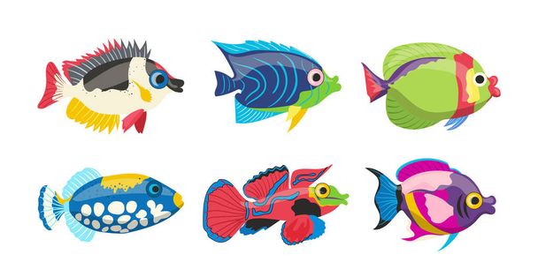 Colección de dibujos animados aislados de peces marinos coloridos y vibrante habitante de arrecifes de coral sobre fondo blanco. Representantes de la vida submarina exótica fauna oceánica vector ilustración. Set de criaturas acuáticas - Vector, Imagen
