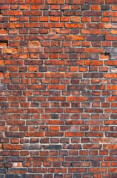 Red brick wall texture for the background - Photo, Image