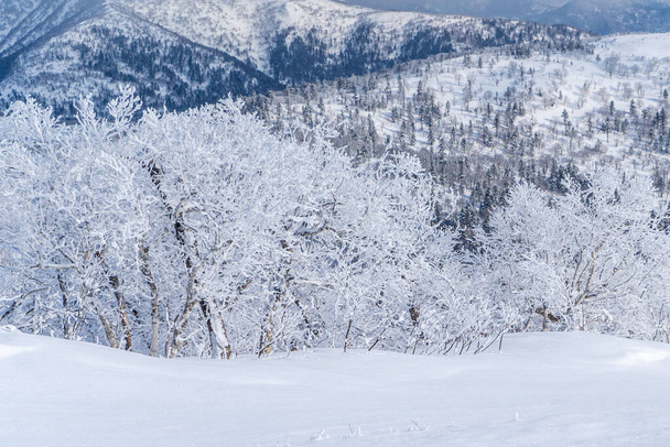 Yuzhno-Sakhalinsk, Jogo 03.2024 Estância de esqui Mountain Air Resort, Yuzhno-Sakhalinsk, Rússia. Foto de alta qualidade - Foto, Imagem