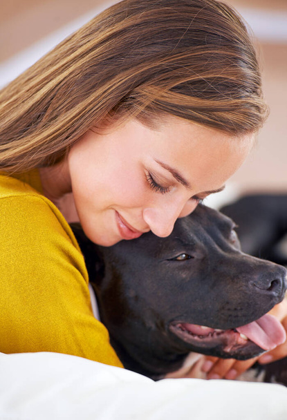 Χαμογελάστε, γυναίκα και σκύλος στον καναπέ για χαλάρωση, αγάπη και ευτυχία μαζί στο σαλόνι. Γυναίκα πρόσωπο, αγκαλιά και κουτάβι στον καναπέ για την αγάπη, την άνεση και την ανακούφιση από το άγχος με οικόσιτο ζώο στο διαμέρισμα. - Φωτογραφία, εικόνα