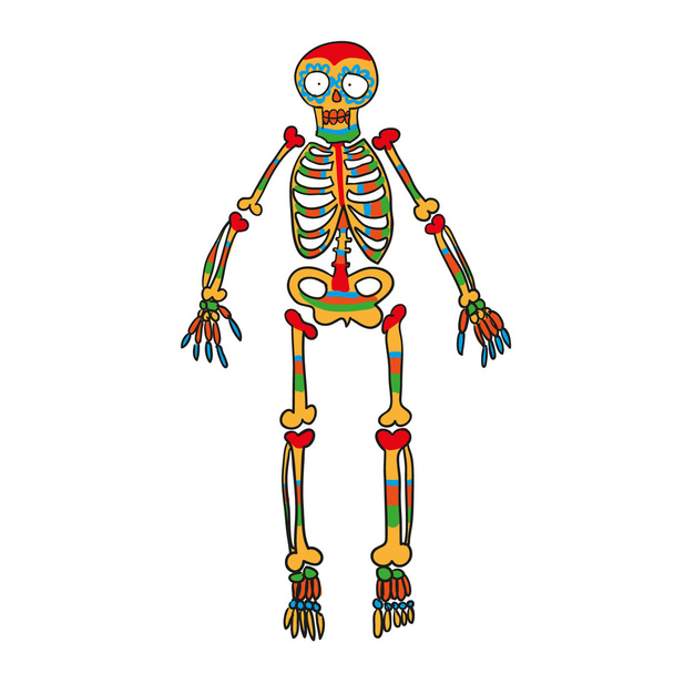 Цветовой вектор скелета каракули
 - Вектор,изображение
