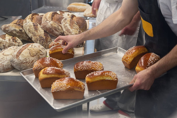 Leipomo leipomossa laittaa tuoretta leipää tarjottimelle. Elintarvikkeet - Valokuva, kuva