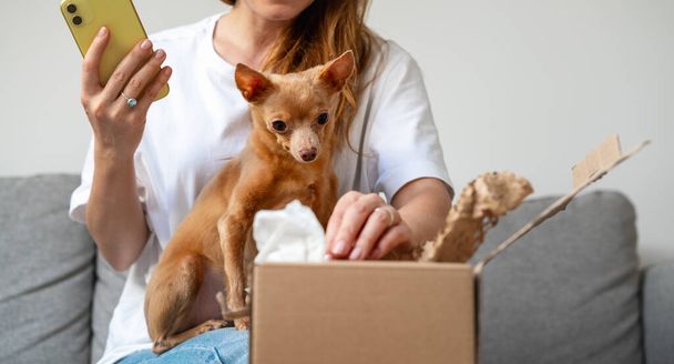 A small toy terrier dog looks at an online purchase in a cardboard box while the owner unpacks it. - Foto, afbeelding
