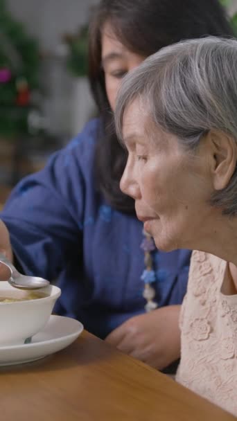 Daughter feeding elderly mother with soup.Vertical video. - Metraje, vídeo