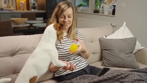 Mujer y su perro juguetón disfrutar del juego juntos en la sala de estar. Propietario está sentado en el sofá y lanza la pelota al perro - Imágenes, Vídeo