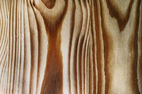 Wood - Foto, Imagem