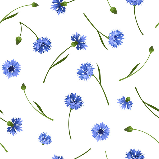 Seamless pattern with blue cornflowers. Vector illustration. - Διάνυσμα, εικόνα