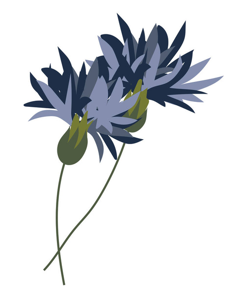 Absztrakt kék búzavirág lapos formájú gallyakon. Virágzó nyári növény. Elkülönített kórokozó-átvivő. - Vektor, kép