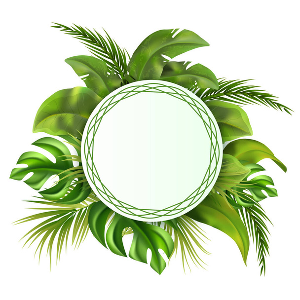 Реалістичні джунглі круглий рамний фон з тропічним листям - Фото, зображення